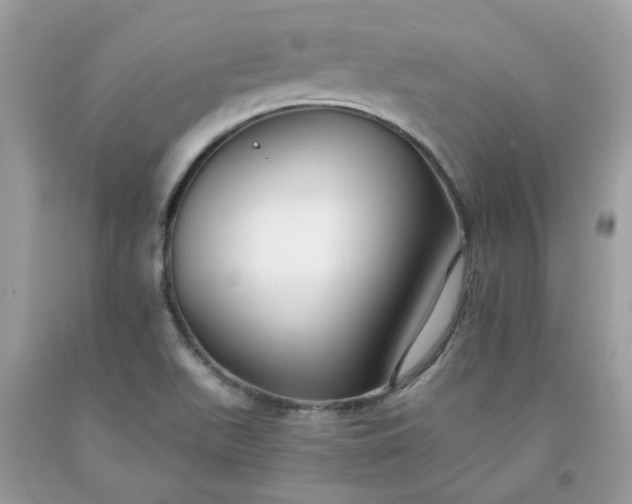 X0000091661511200709061009