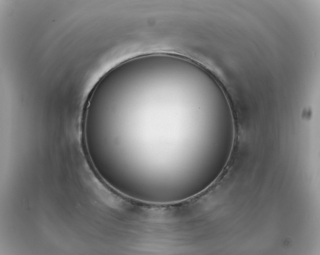 X0000091661512200709061009