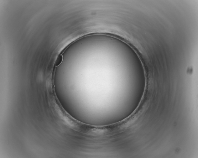 X0000091661513200709061009