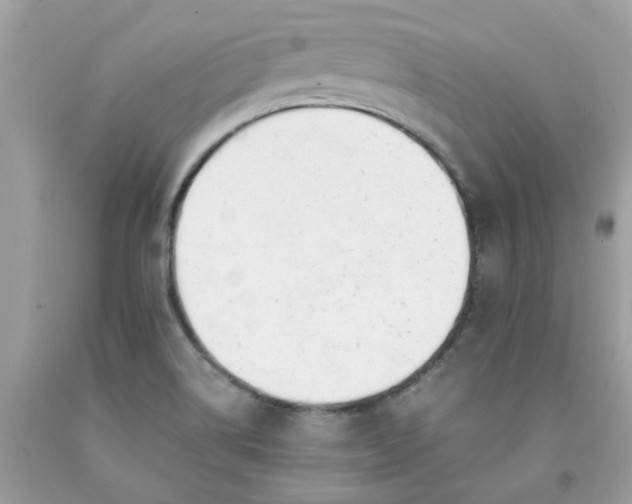 X0000091661514200709061009