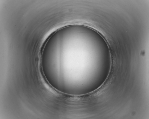 X0000091661515200709061009