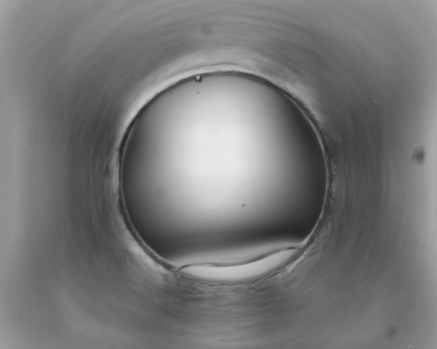 X0000091661516200709061009