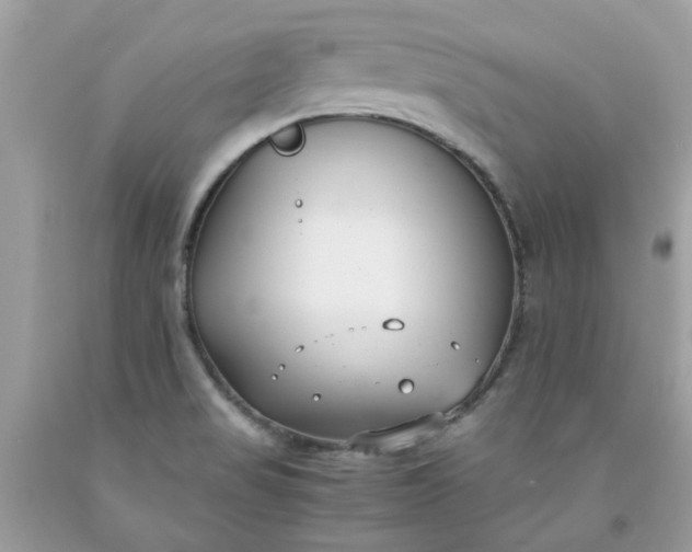 X0000091661517200709061009