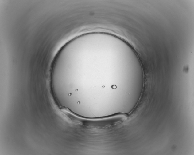 X0000091661518200709061009