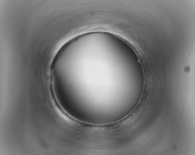 X0000091661519200709061009