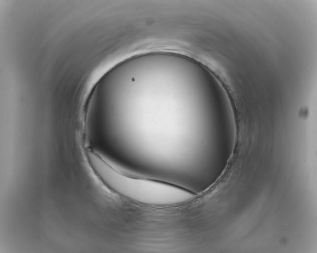 X0000091661520200709061009