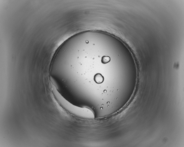 X0000091661521200709061009