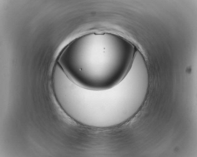 X0000091661522200709061009