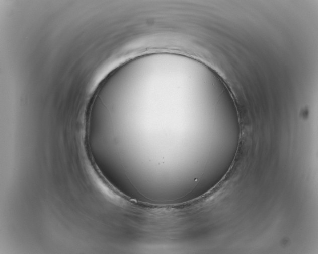 X0000091661523200709061009