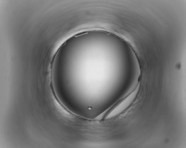 X0000091661524200709061009