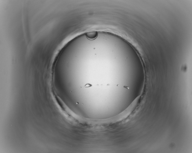 X0000091661525200709061009