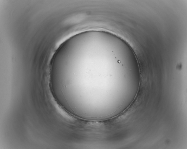 X0000091661526200709061009