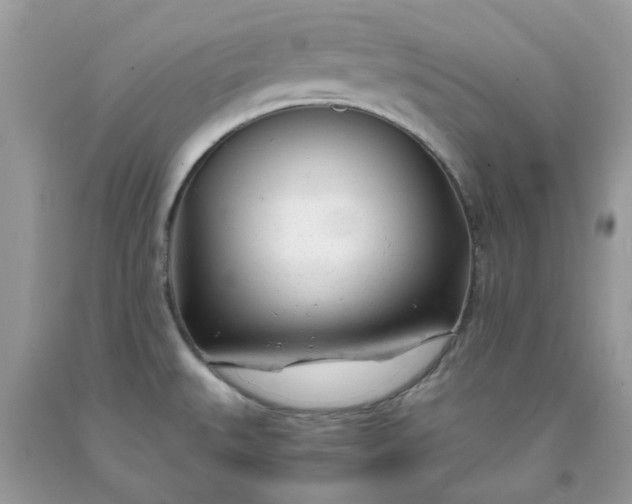 X0000091661527200709061009