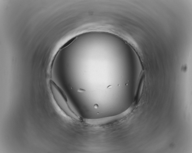 X0000091661528200709061009