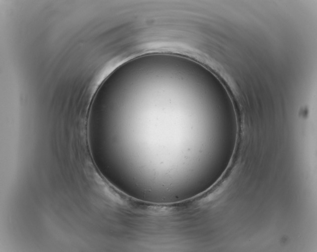 X0000091661529200709061009