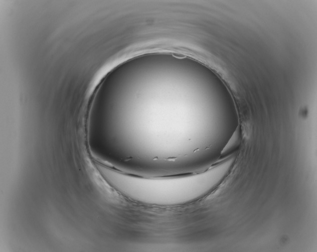 X0000091661530200709061009