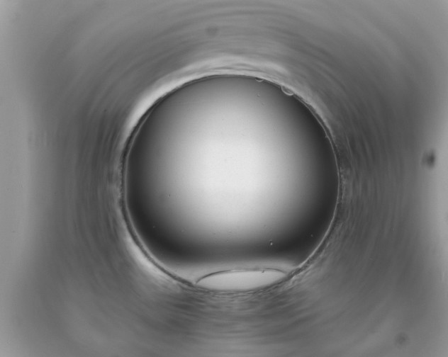 X0000091661531200709061009