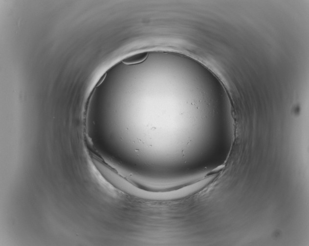 X0000091661532200709061009