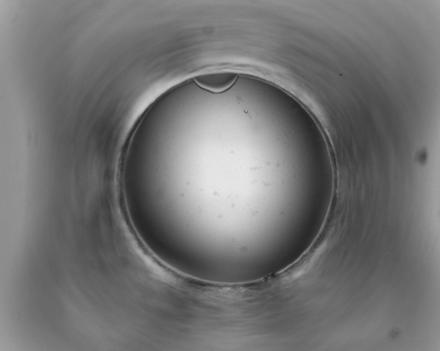 X0000091661533200709061009