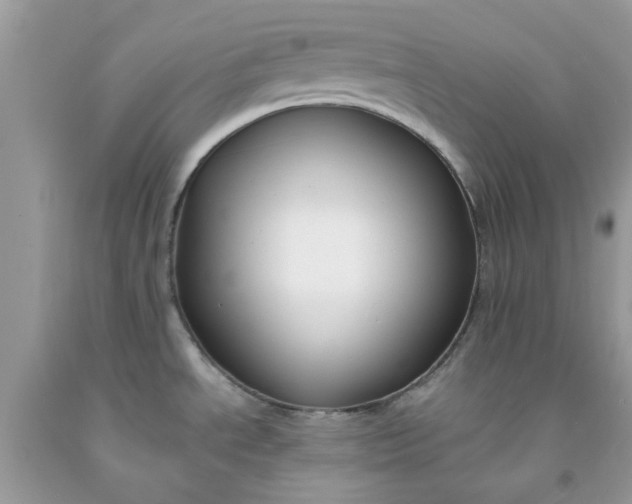 X0000091661534200709061009