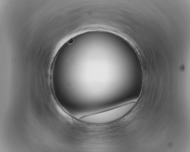 X0000091661535200709061009