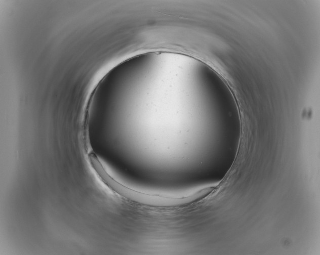 X0000091661536200709061009