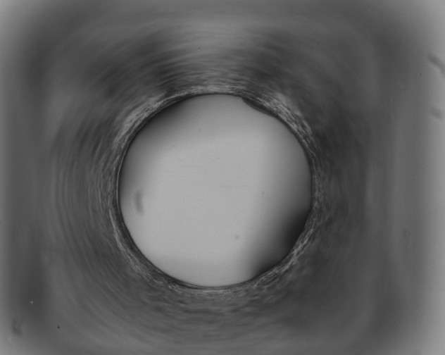 X0000091660001200709131518