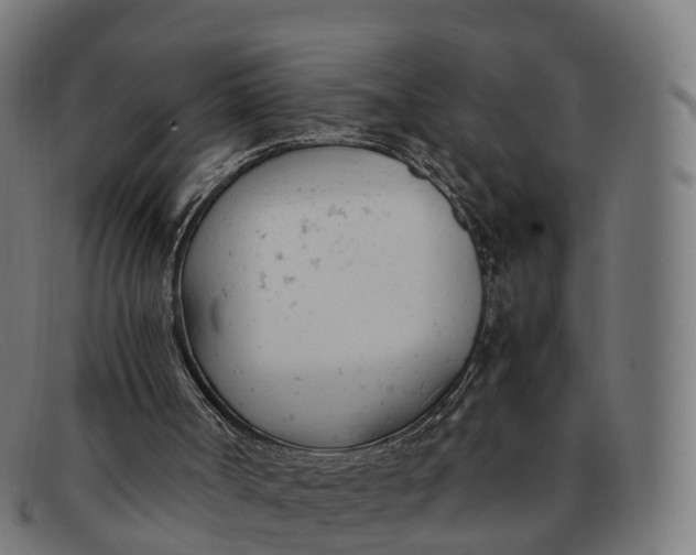 X0000091660002200709131518