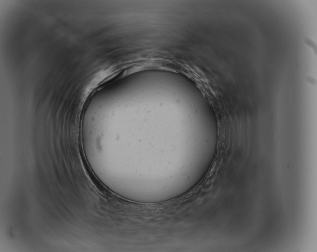 X0000091660003200709131518