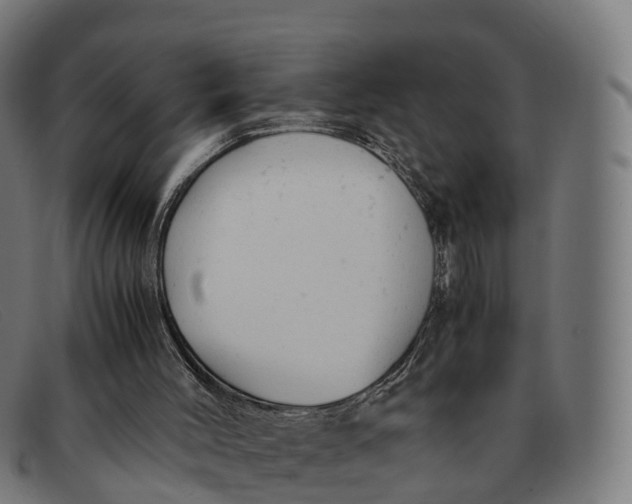 X0000091660004200709131518