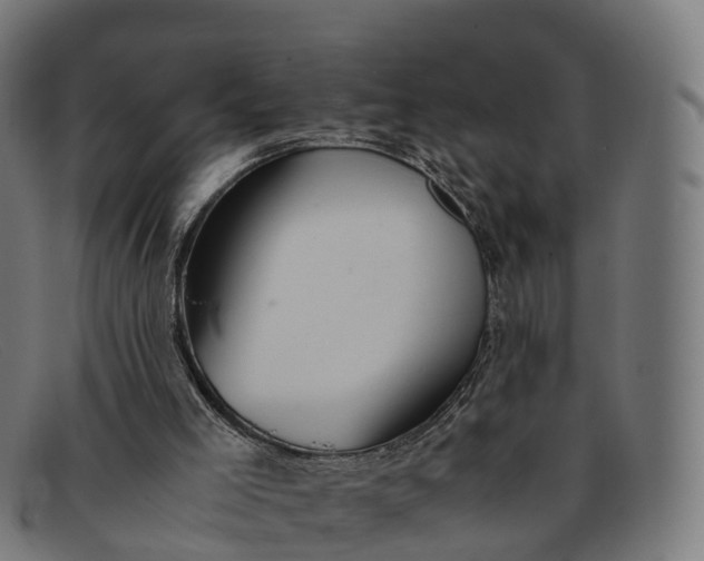 X0000091660005200709131518