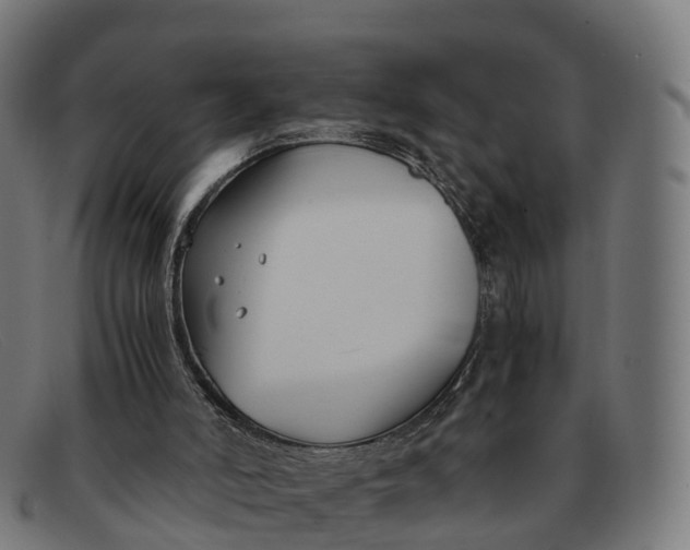 X0000091660006200709131518