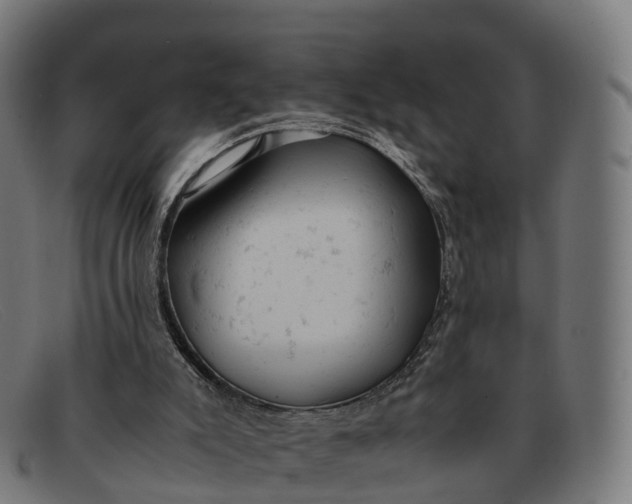 X0000091660007200709131518