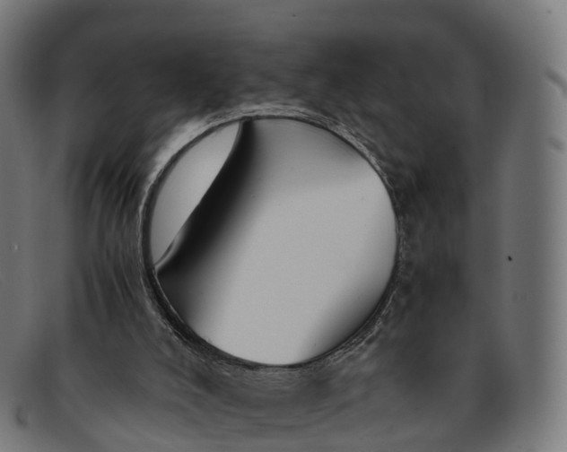 X0000091660008200709131518