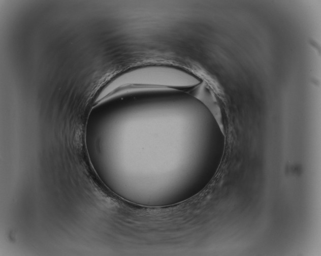 X0000091660009200709131518