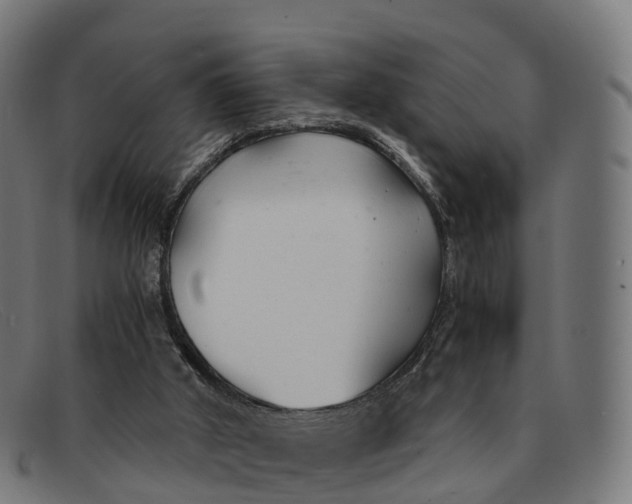 X0000091660010200709131518