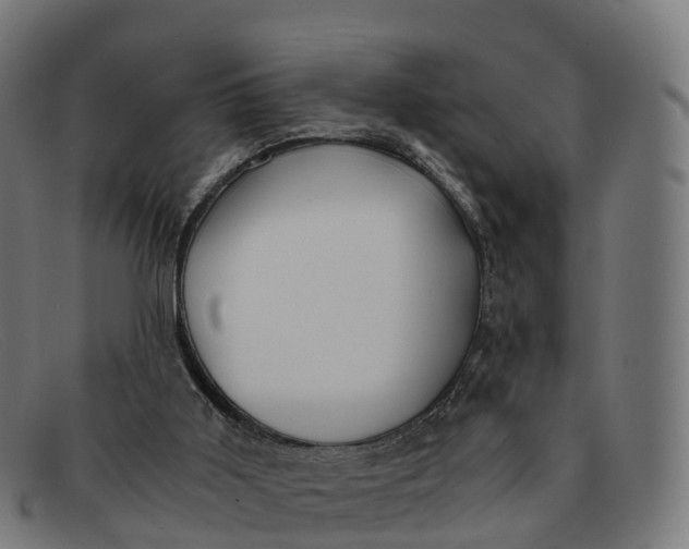 X0000091660011200709131518