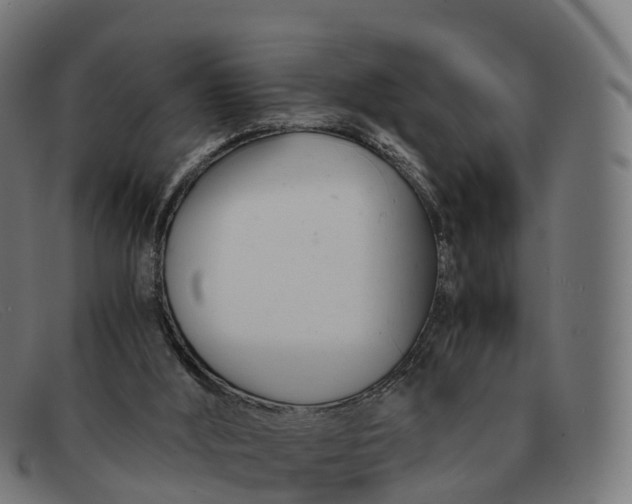 X0000091660012200709131518