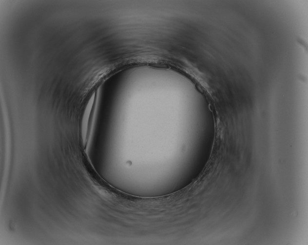 X0000091660013200709131518