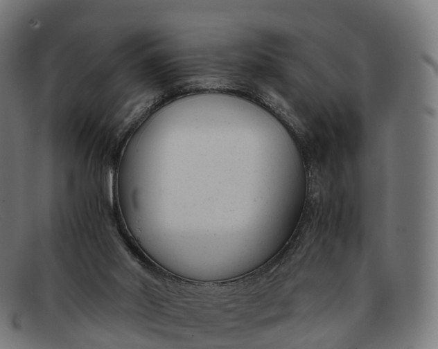 X0000091660014200709131518