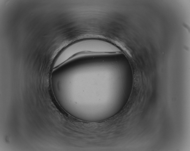 X0000091660015200709131518