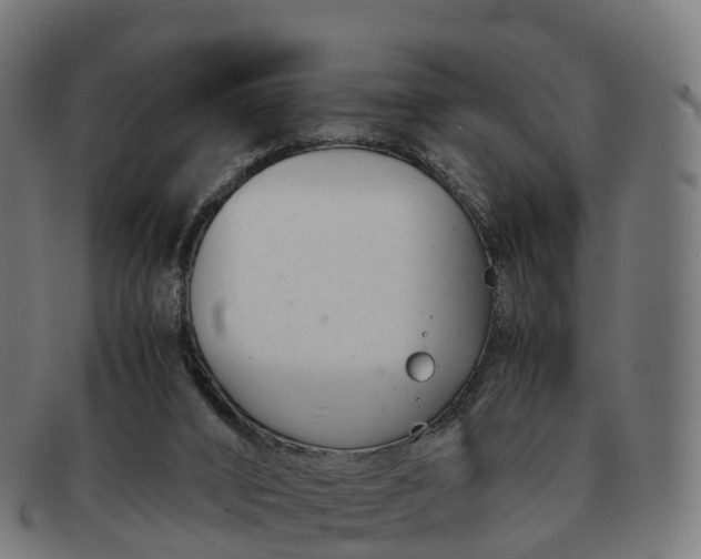 X0000091660016200709131518