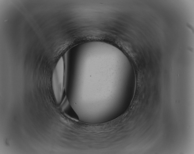 X0000091660017200709131518