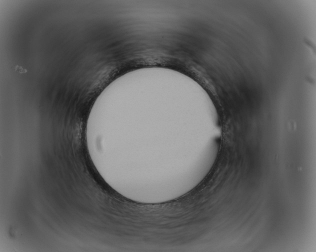 X0000091660018200709131518