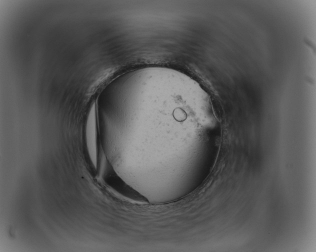 X0000091660019200709131518