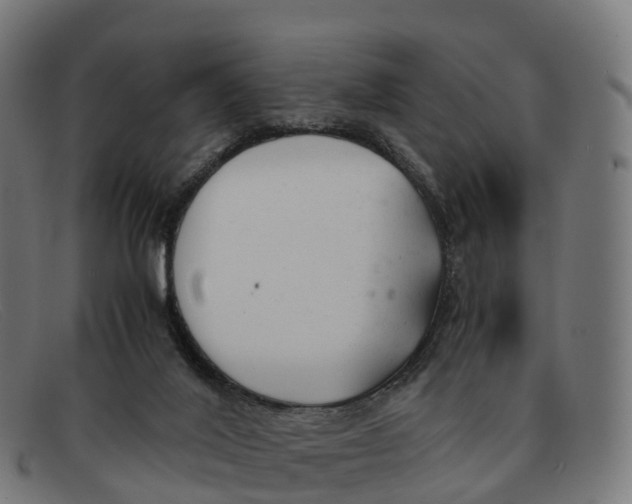 X0000091660020200709131518