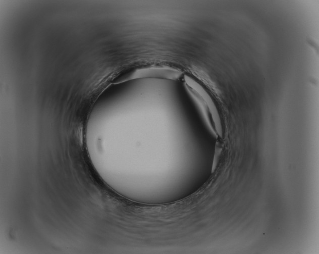 X0000091660021200709131518