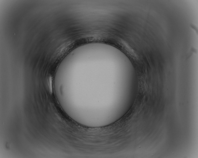 X0000091660022200709131518