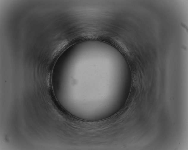 X0000091660023200709131518