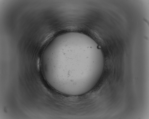 X0000091660024200709131518